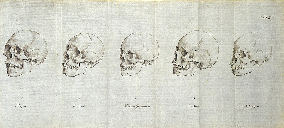 mediumimage/Asclepio202001_p301-image6.jpg