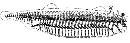 mediumimage/asclepio2020_p325-image1.jpg