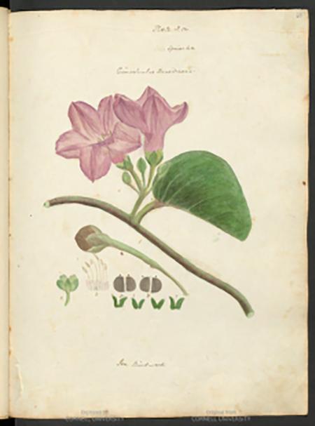 medium/medium-ASCLEPIO-75-01-e09-gf1.png