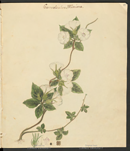 medium/medium-ASCLEPIO-75-01-e09-gf2.png