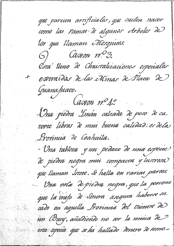 Relaci&oacute;n de las curiosidades que remite el Excelent&iacute;simo Se&ntilde;or Don Mat&iacute;as de G&aacute;lvez Virrey de Nueva Espa&ntilde;a para el Real Gabinete de Historia Natural de Madrid que le dirigi&oacute; de la Provincia de Guadalajara en aquel Reino el Contador de Tabacos Don Josef Ibargoyen. AMNCN. . Ref. 792.