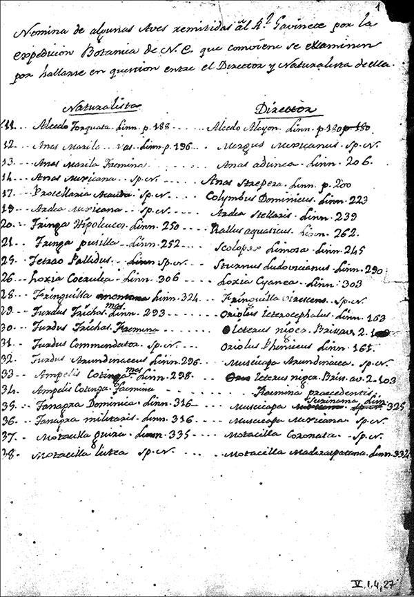 N&oacute;mina de algunas aves remitidas al Real Gabinete por la expedici&oacute;n Bot&aacute;nica de N.E. que conviene se examinen por hallarse en cuesti&oacute;n entre el Director y el Naturalista de ella. ARJB. Catálogo de los documentos de la Real Expedición a Nueva España del Archivo del Real Jardín Botánico. Ref. 95.