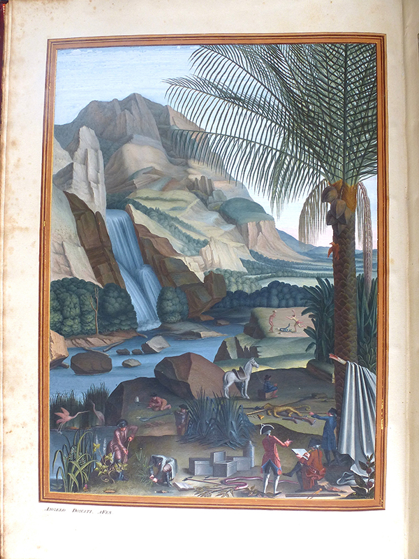 Frontispicio del primer volumen, obra de Ângelo Donati (AHMUHNAC, RES.2, vol. 1). Fotograf&iacute;a A.M. Costa.