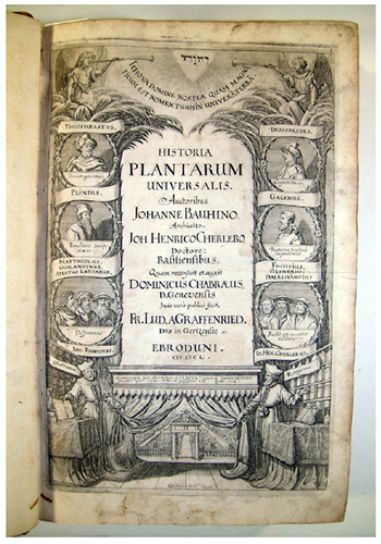 Cover of Historia plantarum universalis, by Johann Bauhin and Johann Heinrich Cherler. Amatus face appears in a medallion in the left hand side, below, together with those of Pietro Andrea Mattioli or Matthiolus (1500-1577) and Guillandinus, with the subtitle “Dissentimus” (“we disagree”, a reference to a violent polemic between Amatus and Mattioli; Guimarães, (2013)