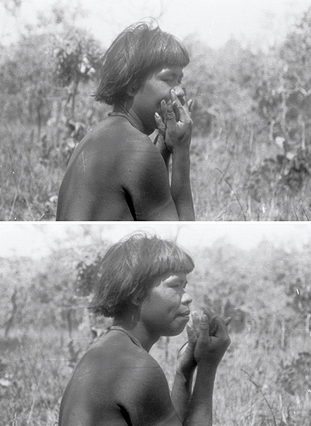 media/image1.jpg